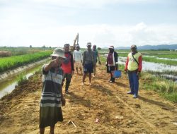 Melalui Program Kadin Peduli Konawe, Yusran Akbar Bantu Perbaikan Jalan Desa Anggohu Tongauna Utara