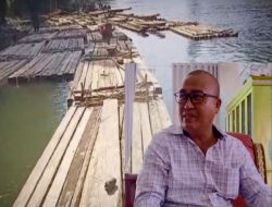 Apresiasi Polres Konawe Amankan Kayu Ilegal loging. Ketua DPRD Konawe: Jangan Beri Ampun