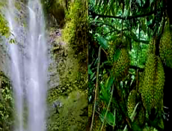 Desa Matahori Siap Menjadi Permata Baru Agrowisata di Konawe   