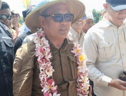 Pj Bupati Konawe Menghadiri Panen Raya Dikecamatan Uepai.
