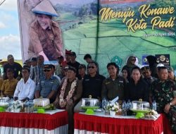Harmin Ramba Mendorong Hilirisasi Industri Pertanian Melalui Panen Padi Perdana di Desa Tawamelewe