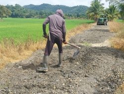 Mudahkan Transportasi Produksi Petani, Pemdes Nambeaboru Tingkatkan JUT