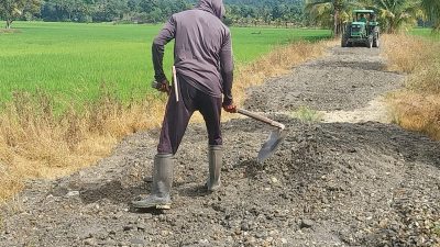 Mudahkan Transportasi Produksi Petani, Pemdes Nambeaboru Tingkatkan JUT
